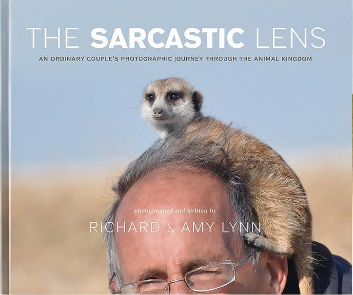 The Sarcastic Lens: An Ordinary Couple’s Photographic Journey through the Animal Kingdom